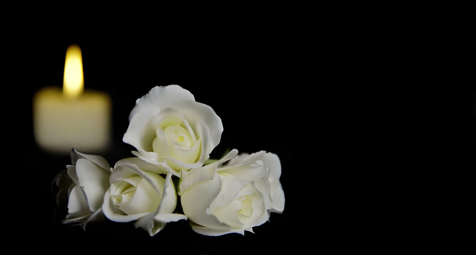 Atelier de composition florale funéraire — Paris 1er, roses blanches